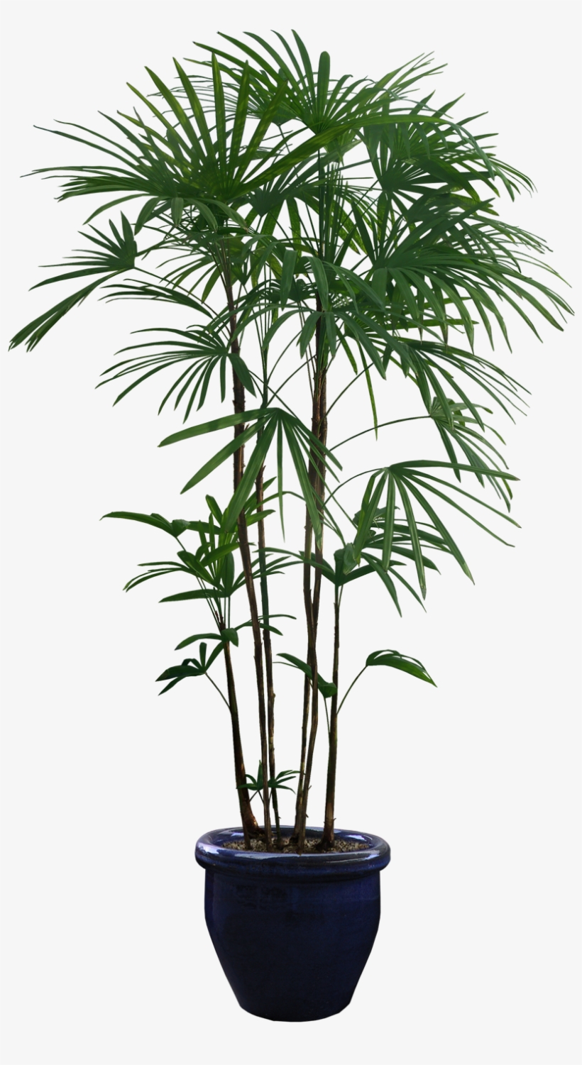 Pin By 柒社-howl On 花艺 - Plant Pot Cut Out, transparent png download