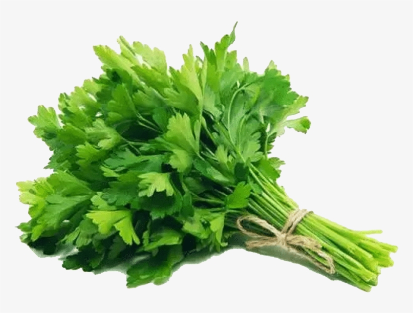Parsley - Demet Maydanoz, transparent png download