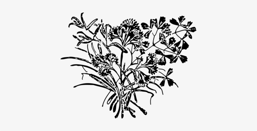 Herb Parsley Royal Fougeres Spice Watercolor Painting - Parsley, transparent png download