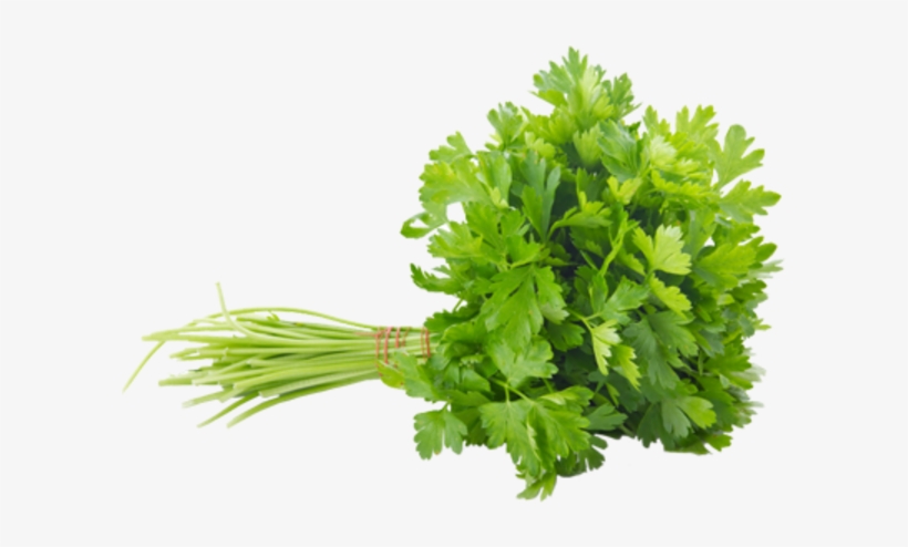 Cub Parsley - Persil Plat, transparent png download