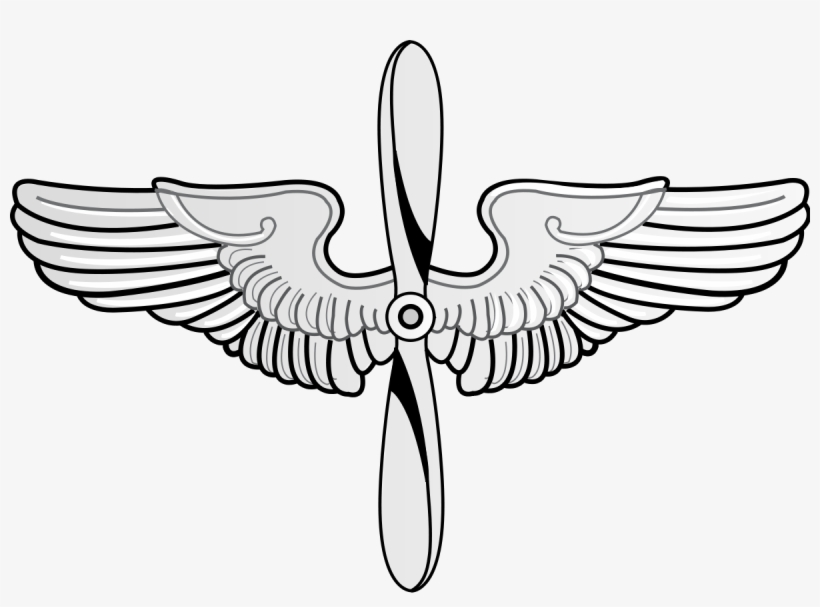 United States Army Air Service - Air Force Prop And Wings, transparent png download