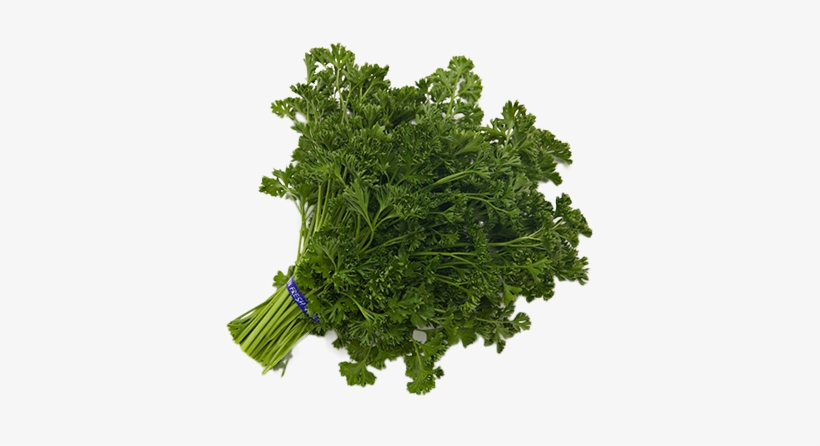 Parsley-fieldpack, transparent png download