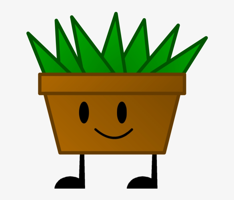 Aloe Vera Pose - Aloe Vera, transparent png download