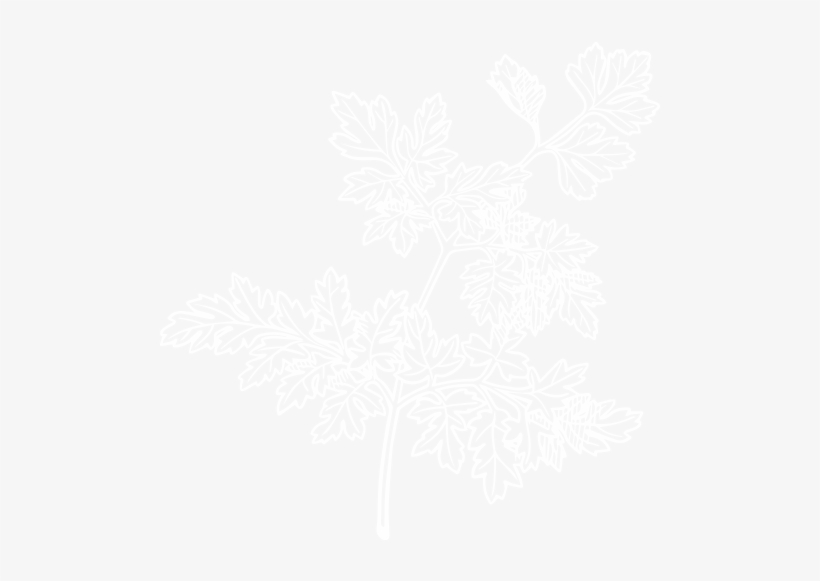 Illustration, transparent png download