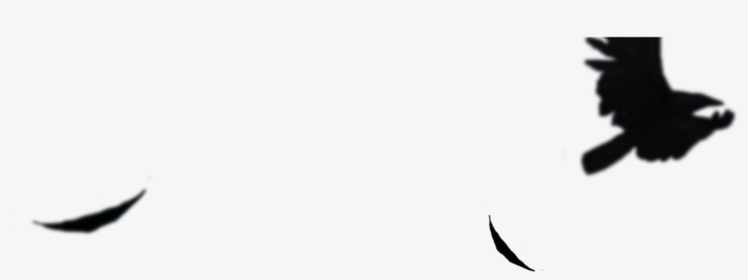 Illustration, transparent png download