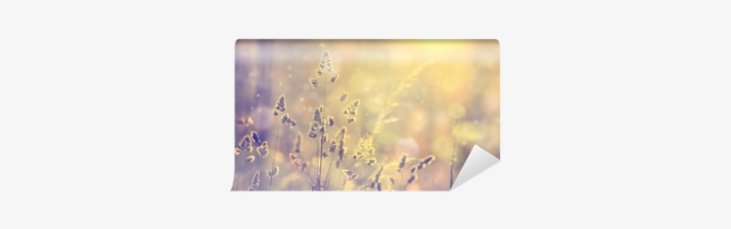 Retro Blurred Lawn Grass At Sunset With Flare - Tableau Flou Bucolique L.80 X H.55 Cm Declikdeco, transparent png download