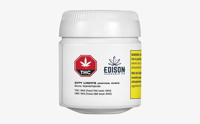 City Lights - City Lights - Lola Montez, transparent png download