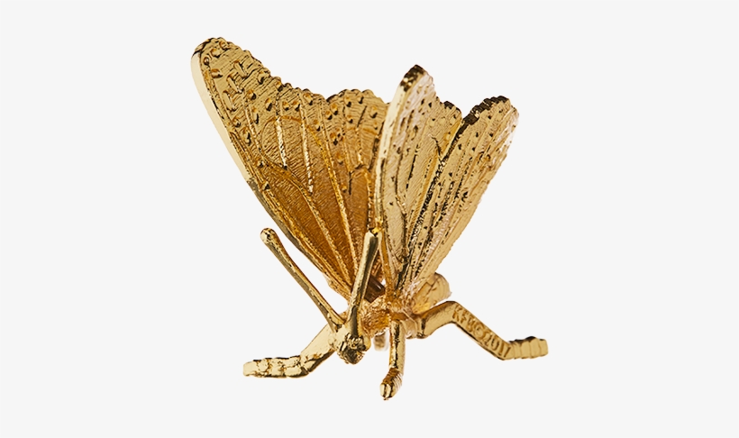 Monarch Butterfly Gold-plated Figurine, transparent png download