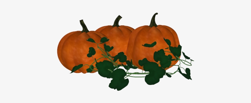 Clip Black And White Pumpkin Vine At Getdrawings Com - Real Pumpkin Vine Png, transparent png download