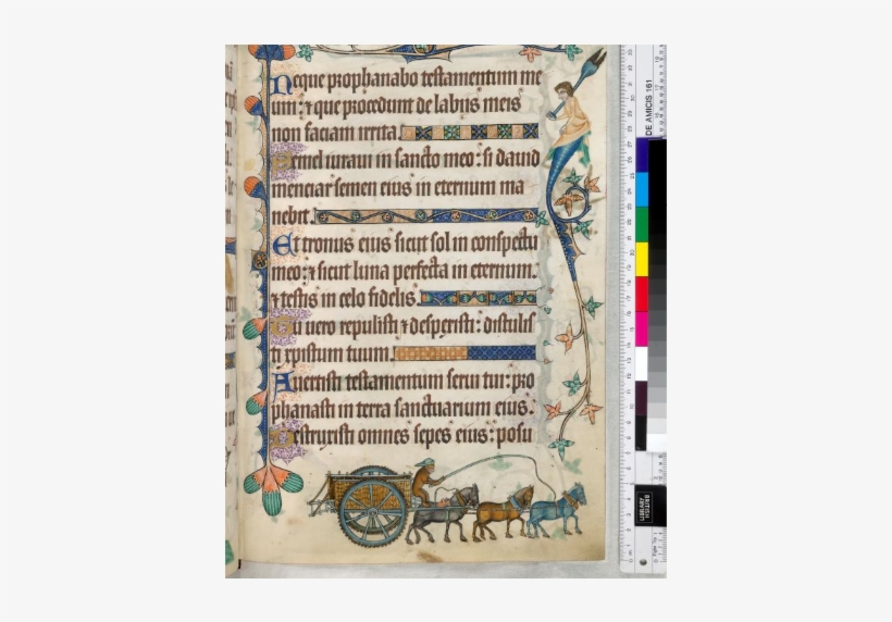 Canvas - Luttrell Psalter Book, transparent png download