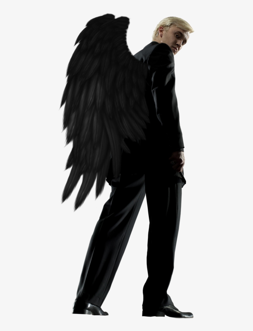 Harry Potter And The Philosopher's Stone, transparent png download