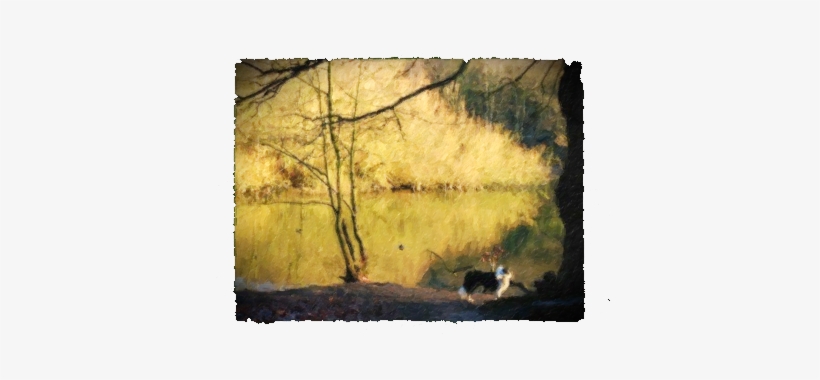 Bruce By The River - Dog Walking, transparent png download
