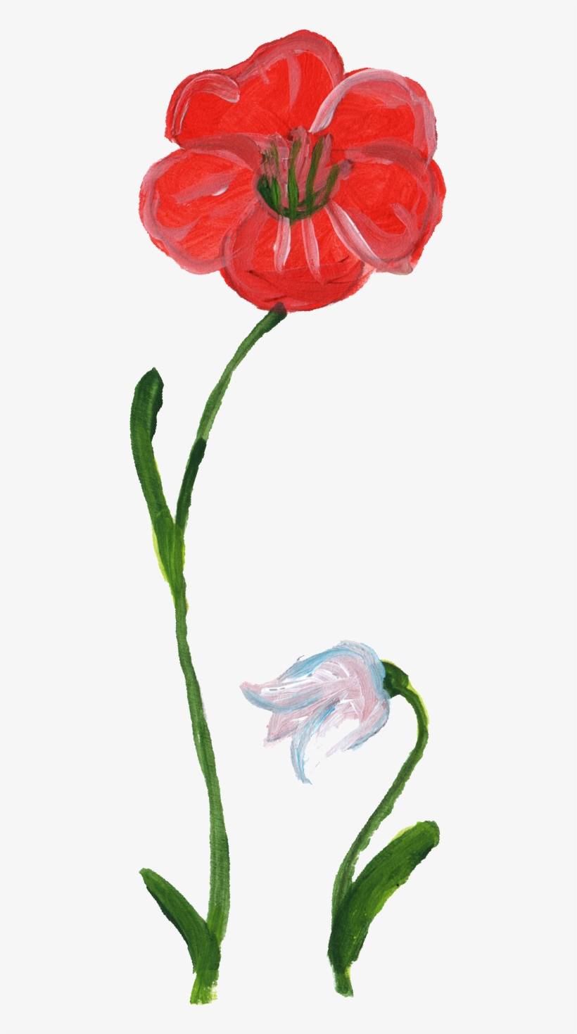 Flower Painting Png - Red Flowers Painting Transparent, transparent png download