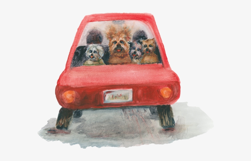 In Reality, Scamp Was Trying To Chase A Mouse Soon - Pug, transparent png download