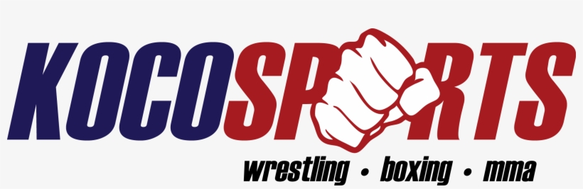 Aj Styles, Shinsuke Nakamura And Numerous “bullet Club” - Combat Sports, transparent png download