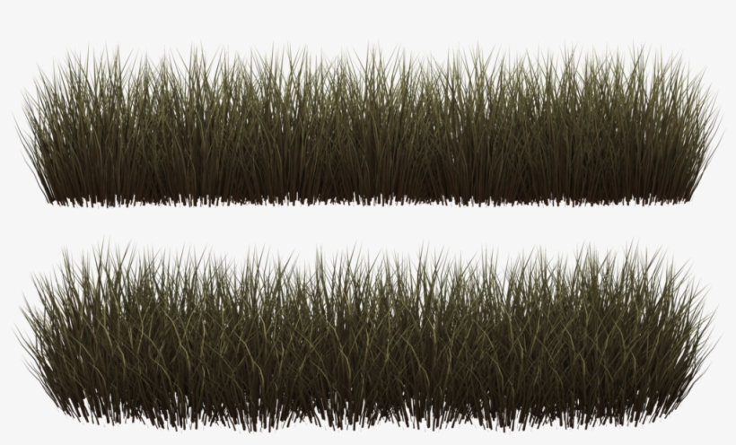 Svg Royalty Free Download Huge Freebie - Eyelash Extensions, transparent png download