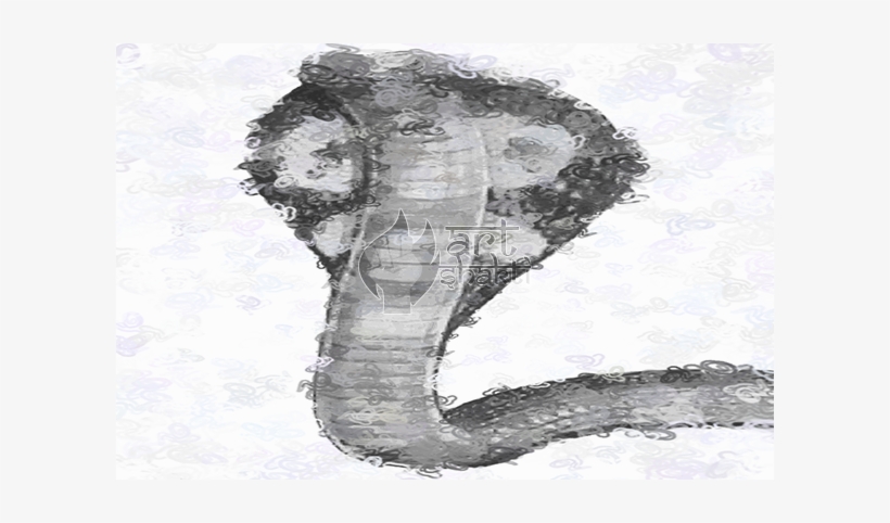 B/w Abstract Cobra - Sketch, transparent png download