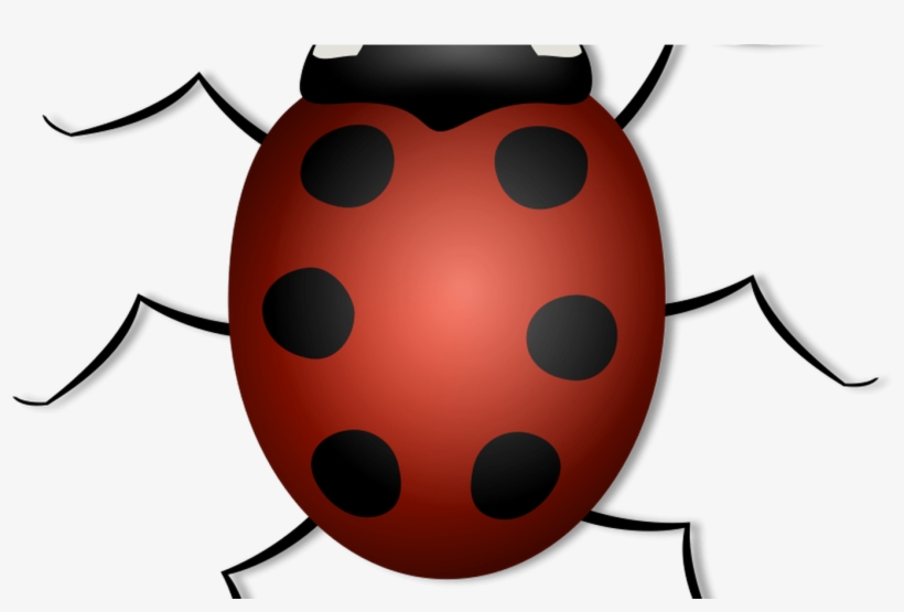 Free Lady Bug Clipart, Download Free Clip Art, Free - Clipart Fond Transparent Insecte Png, transparent png download