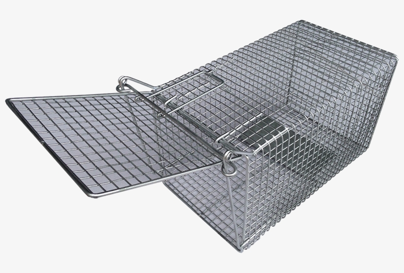 Rat Trap Png Download Image - Rat Trap Png, transparent png download