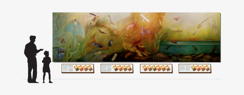 Interpreting A Bug Mural At The Delaware Museum Of - Natural History Museum Mural, transparent png download