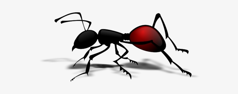 Ant - Ants Png Clipart, transparent png download