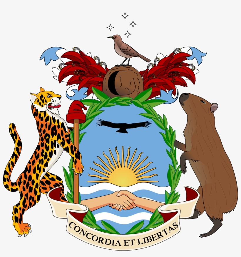 Nismanme Puse A Pelotudear Con Banderas En La Semana - Faculty, transparent png download