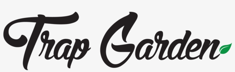 Tg 1, transparent png download