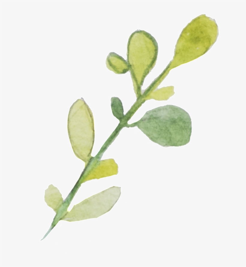 This Graphics Is Round Green Leaf Transparent Decorative - Portable Network Graphics, transparent png download