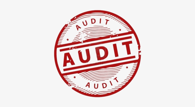 Get A Professional Seo Audit An In-depth Analysis Of - Case Audit, transparent png download