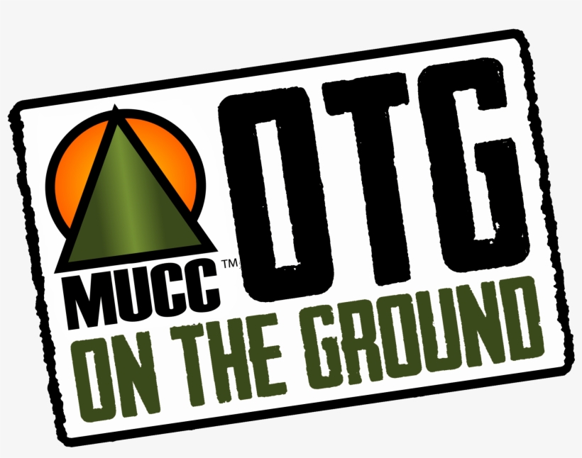 Color, transparent png download