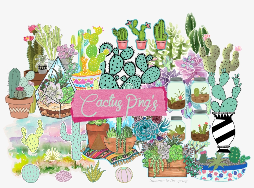 Discover - Cactus Summer, transparent png download