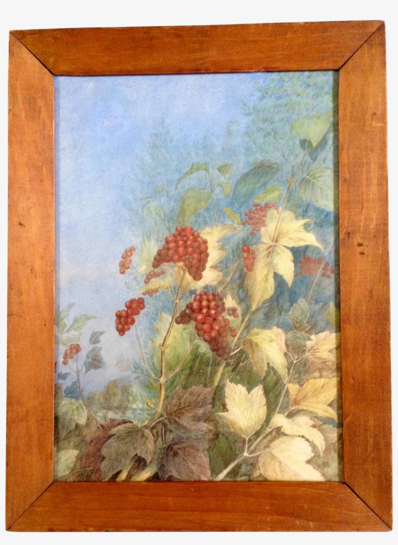 William Newton Bartholomew, Painting, Viburnum Trilobum, - Picture Frame, transparent png download