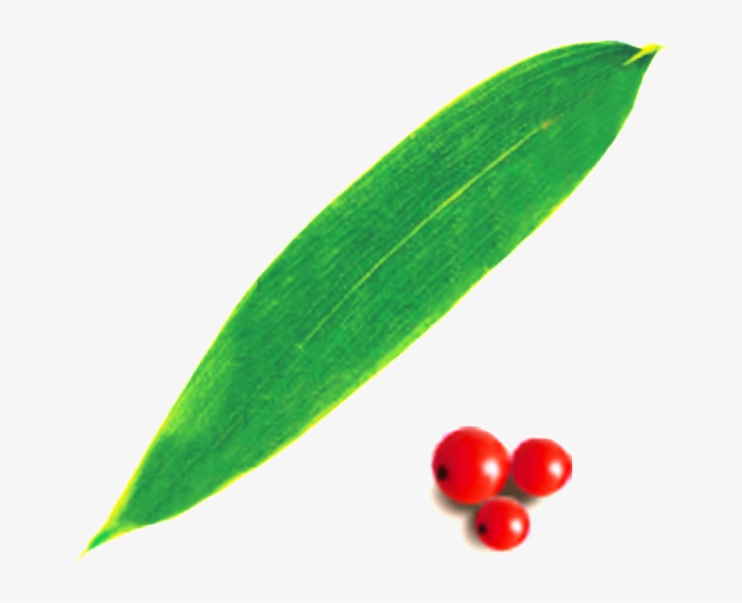 Fruit, transparent png download