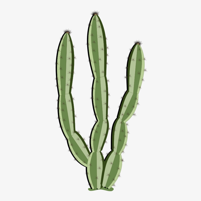 Cactus Clipart Saguaro - Cactus Curtains, transparent png download