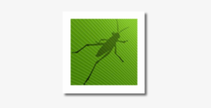 Mcneel Miami On Line Store - Grasshopper Rhino, transparent png download
