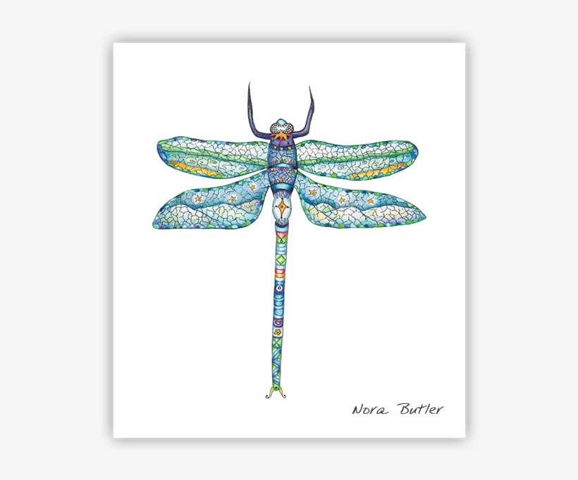 Damselfly Print By Nora Butler - Net-winged Insects, transparent png download