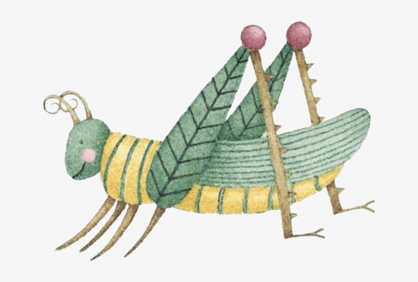 Insect Caelifera Drawing Grasshopper - Dibujo De La Cigarra, transparent png download