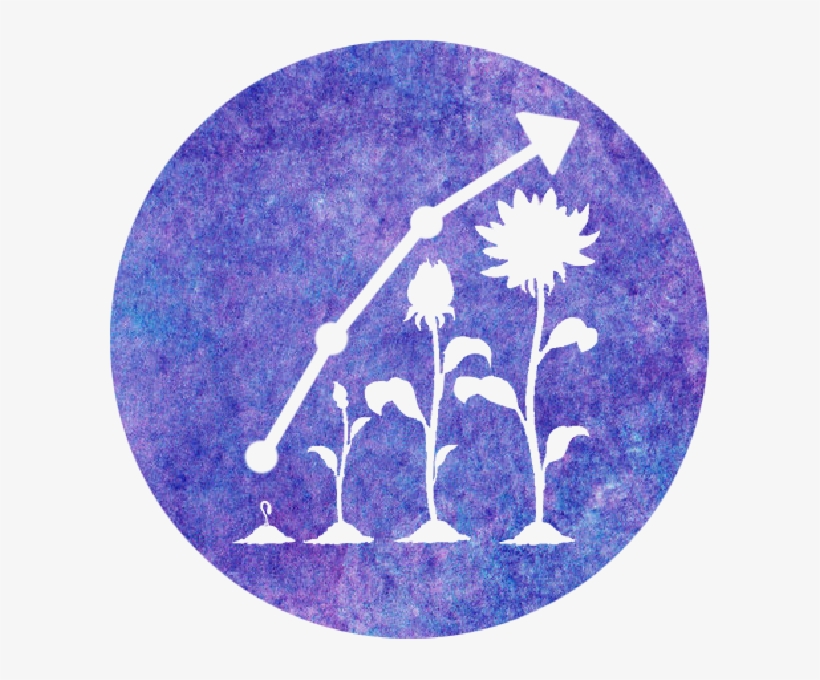 Marketing Campaigns And Analytics - Circle, transparent png download