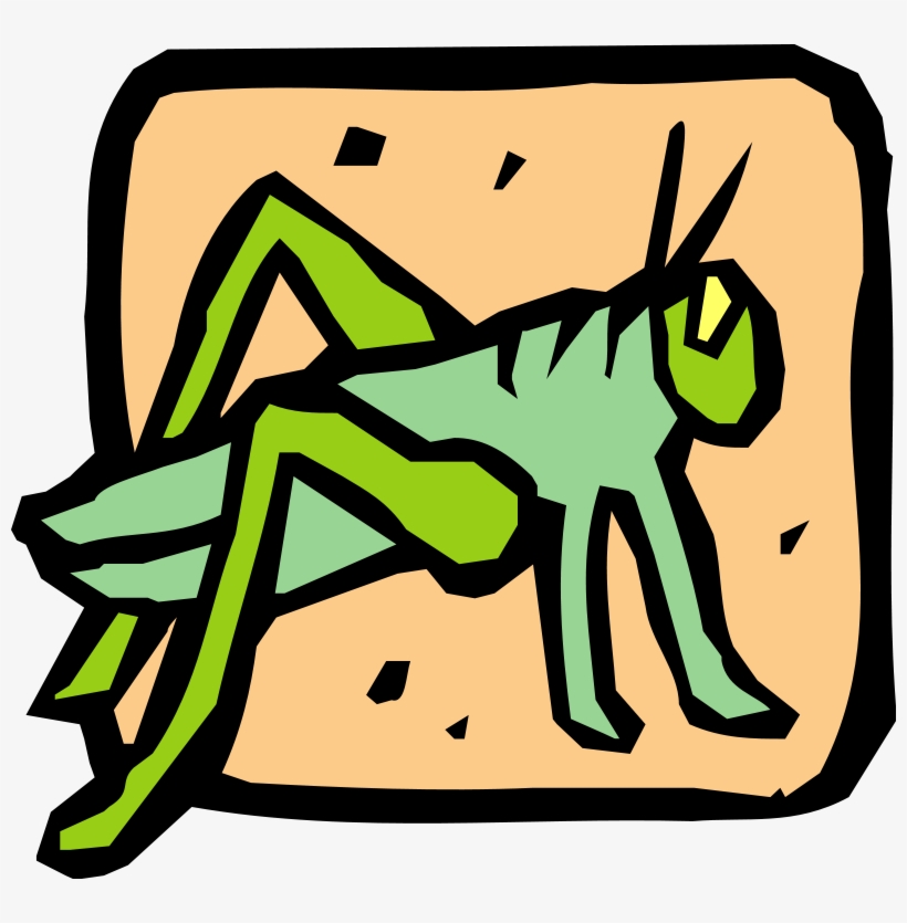 Free Vector Insect - Caelifera, transparent png download