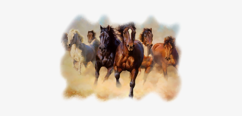 Belle Image Chevaux - Manada De Caballos Corriendo, transparent png download