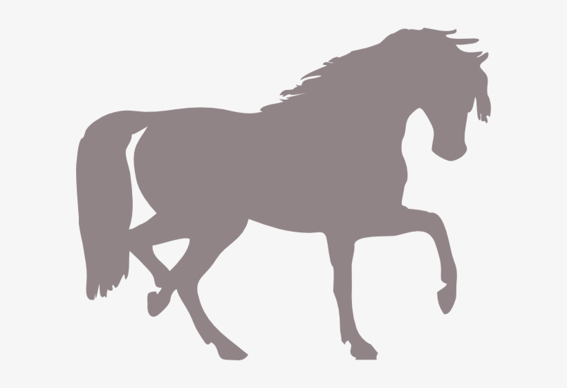 How To Set Use Grey Horse Svg Vector, transparent png download