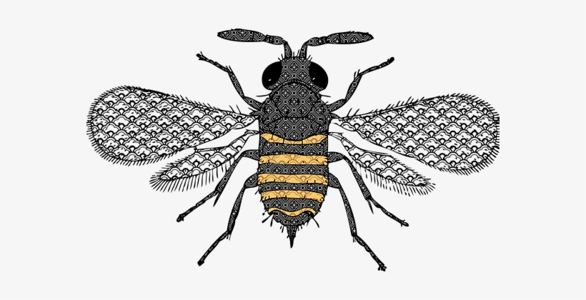 Bee Insect Decorative Bug Pattern Patterne - Bumble Bee Lumbar Pillows, transparent png download
