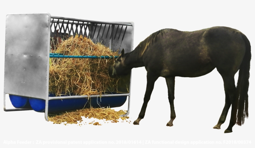 Equine Feeders - Mane, transparent png download