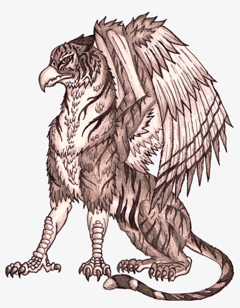 Google Search Fairytale Creatures, Griffins, Fairy - Eagle Griffin And Tiger, transparent png download