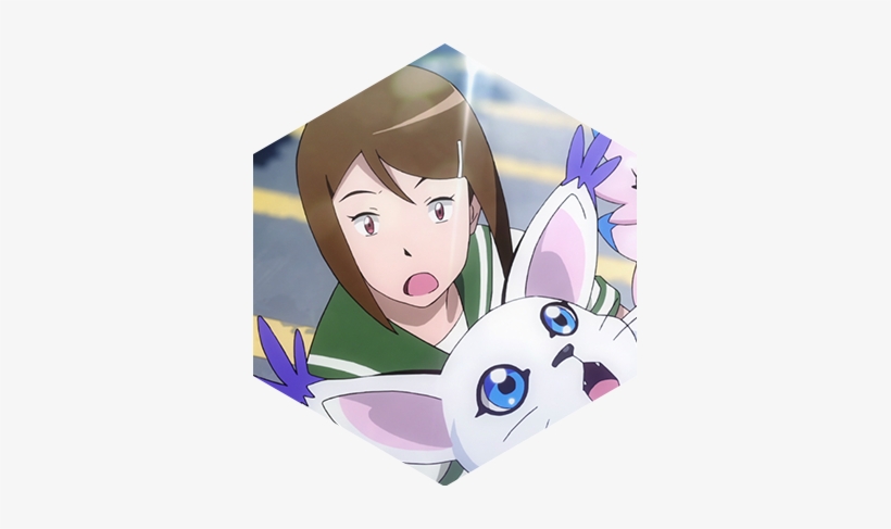 Kari - Digimon Kari, transparent png download