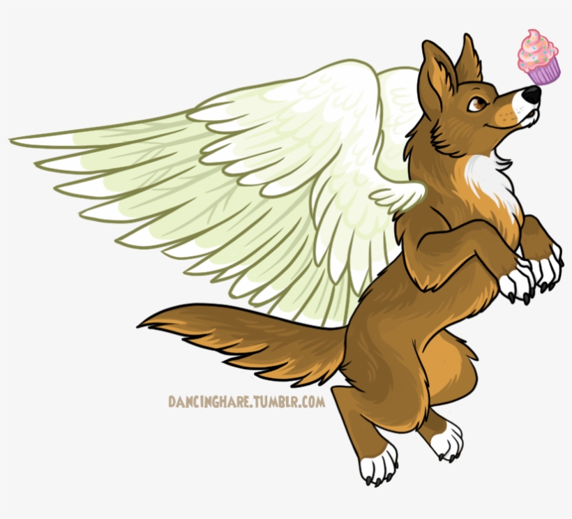 Today Was Banjo's “birthday” Actually His Adoption - Cartoon, transparent png download