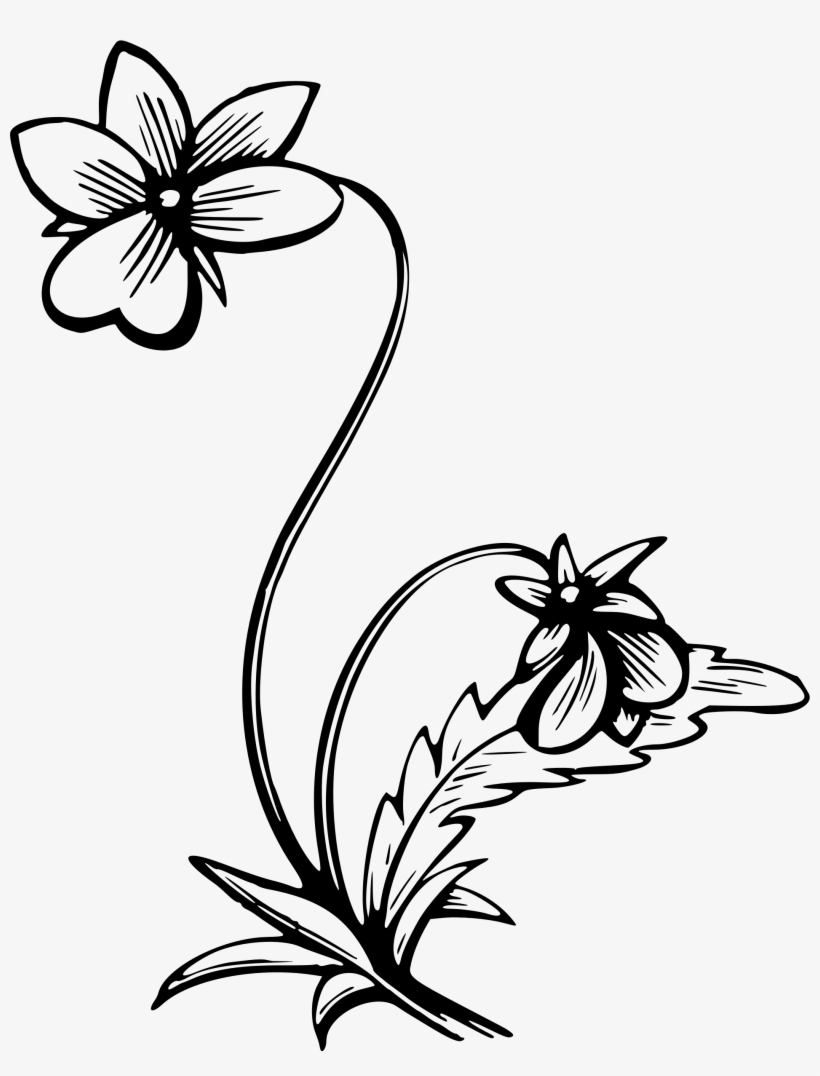 Png Freeuse Stock Cigarettes Drawing Flower - Portable Network Graphics, transparent png download