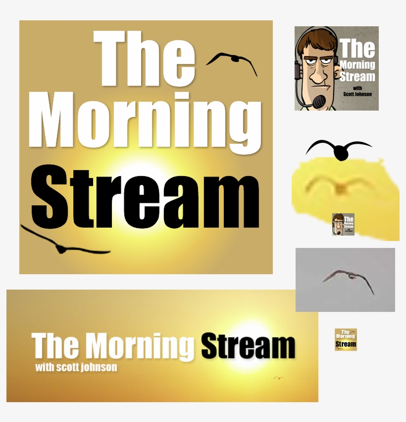 Morning Stream - Catheter Related Bloodstream Infection Ppt, transparent png download