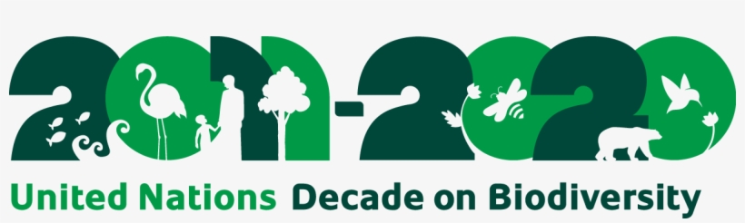 Un Decade On Biodiversity - Decade Of Biodiversity Logo, transparent png download