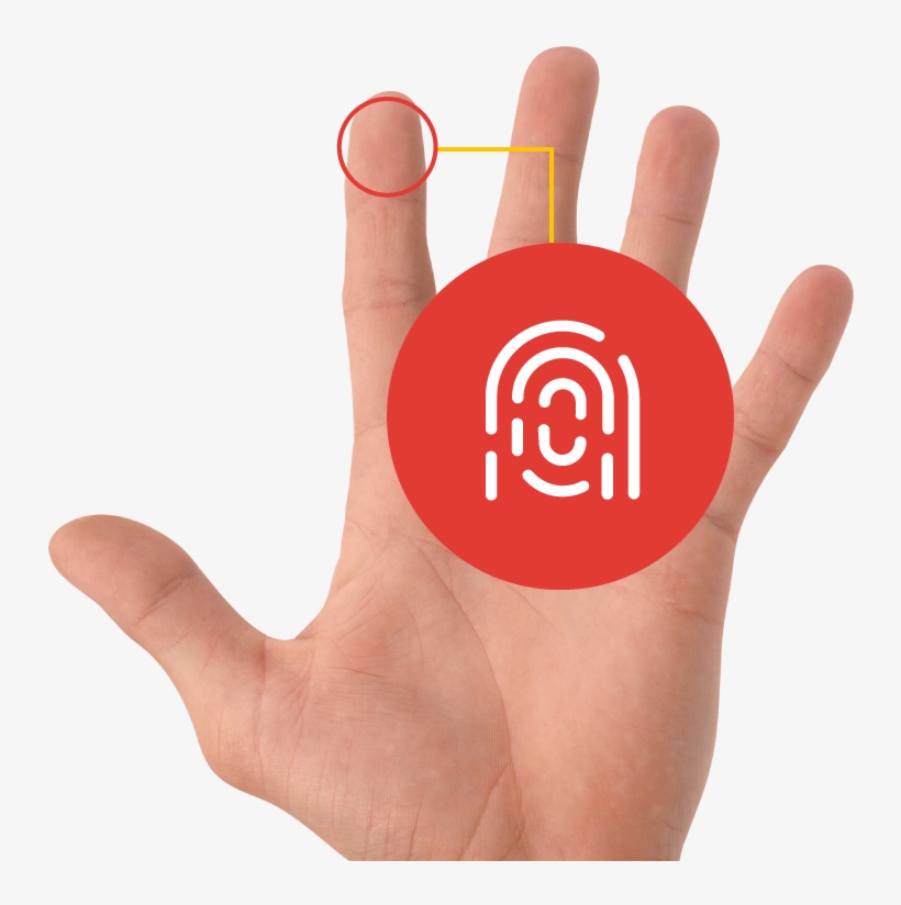 Biometrics Replaces The Need For Keys, Fobs And Pin - Biometric Transparent, transparent png download